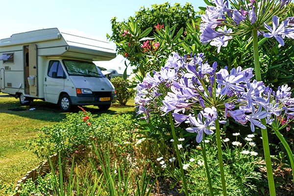 campsite pitch in the Basque country