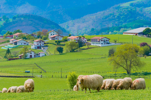 espelette basque country