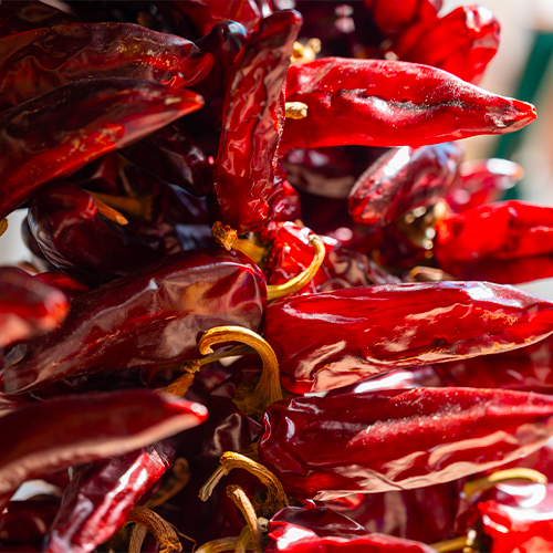 espelette pepper