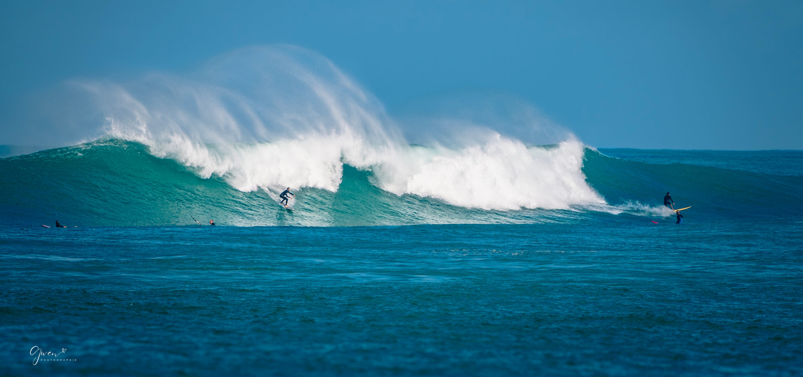 vagues de lafitenia